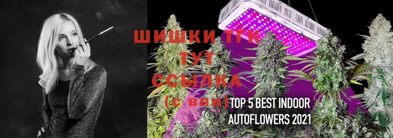 Конопля OG Kush  купить закладку  Алдан 